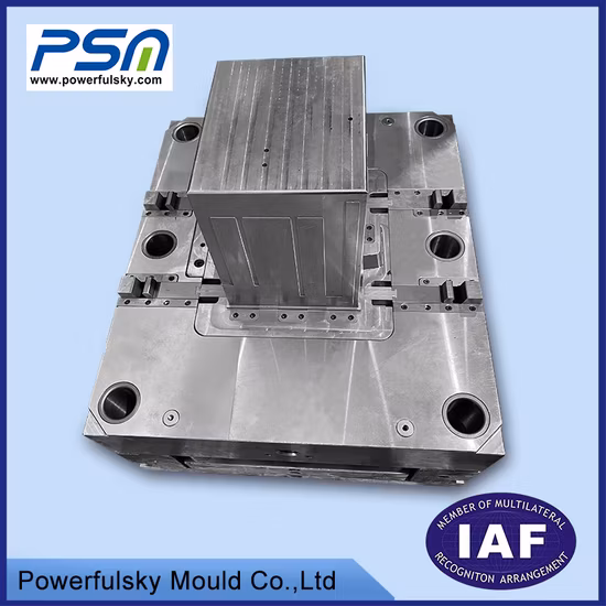Injection Plastic Auto Car Battery Storage Box Mould